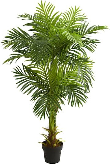 5Ft Potted Double Stalk Hawaii Palm Tree By Nearly Natural in Green