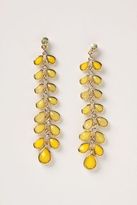 Thumbnail for your product : Anthropologie Alata Earrings
