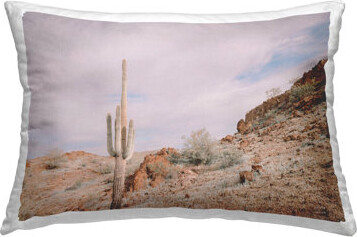 The Climb Desertscape Decorative Printed Throw Pillow by Wild Apple