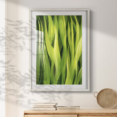 Latitude Run Ailey -Gallery Wrapped Canvas