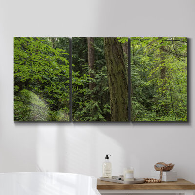 Loon Peak Tuscan White And Poppies On Canvas 3 Pieces Print