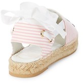 Thumbnail for your product : Roger Vivier Striped Floral Embroidered Espadrilles