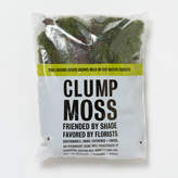 Thumbnail for your product : Fresh Clump Moss ,