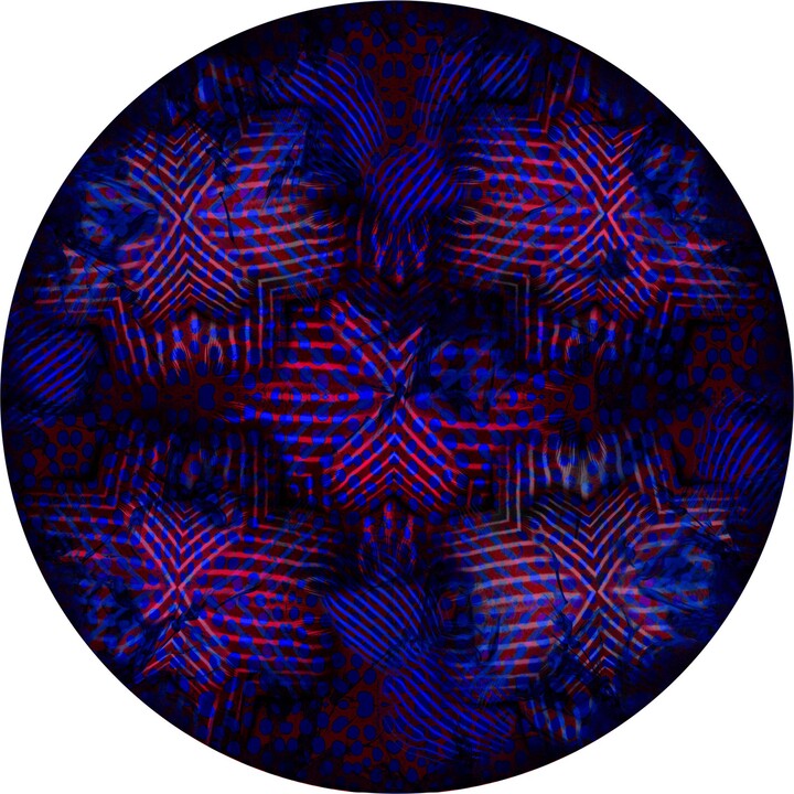 Moooi Small Extinct Animals Umbrella Squid Rug In Low Pile Polyamide