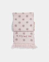 Thumbnail for your product : Coach Tea Rose Twill Muffler