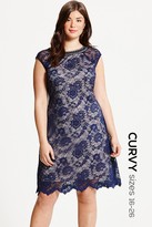 Thumbnail for your product : Little Mistress Curvy Navy Lace Embellished Neck Shift Dress