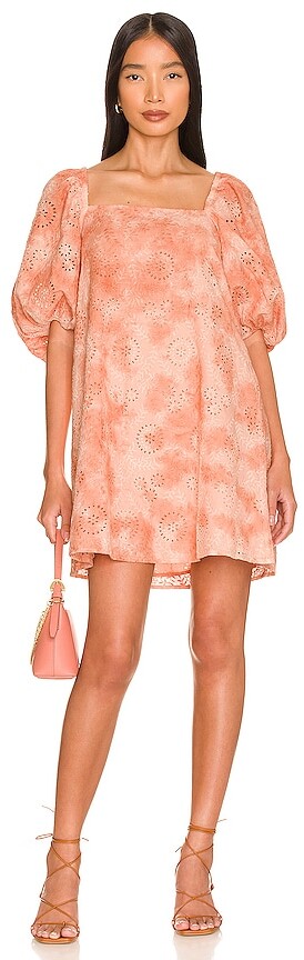 Apricot Colour Dresses | Shop the world's largest collection of 