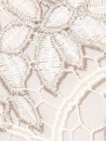 Thumbnail for your product : Phase Eight Frances Lace Dress, Latte/Oyster