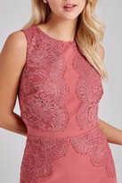 Thumbnail for your product : Little Mistress Cassidy Sienna Blush Lace-Trim Pencil Dress