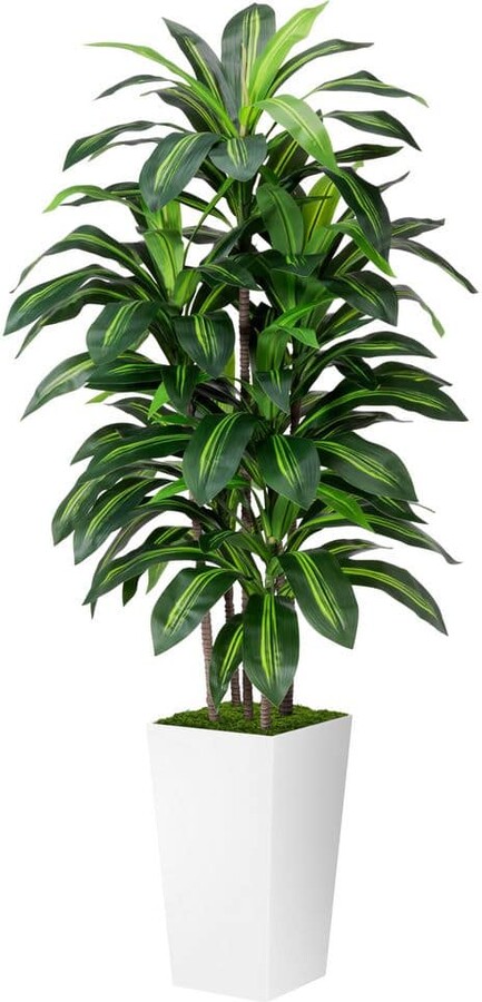 OGETFUUR 5 ft. Artificial Dracaena Plant with White Tall Planter Vase, Artificial Trees for Home, Office and Living Room