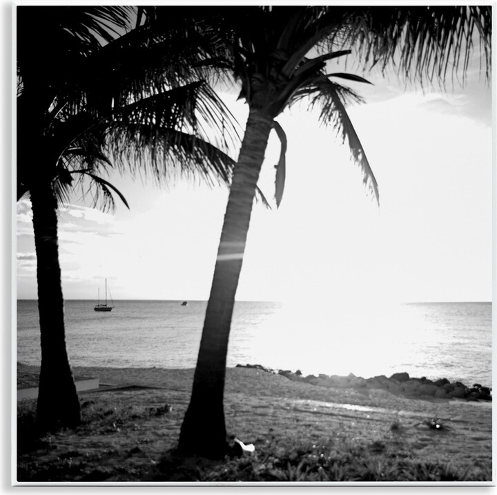 Stupell Industries Palm Tree Silhouettes Coastal Photography Unframed Art Print Wall Art, 12 x 12