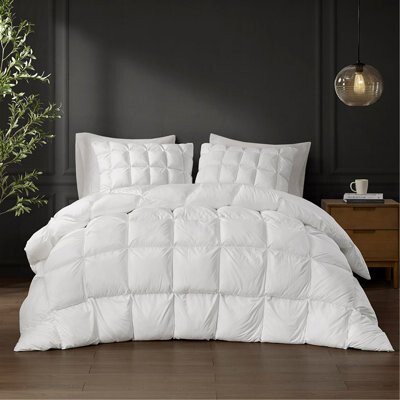 Alxfarton Overfilled Down Alternative Comforter White Full/Queen