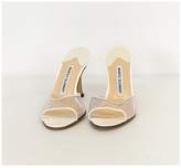 Thumbnail for your product : Manolo Blahnik White Clear Heels