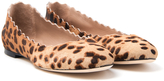 Thumbnail for your product : Chloé Scalloped Ballerina Flat