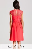 Thumbnail for your product : Little Mistress Coral Lace Sleeve Dress