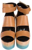 Thumbnail for your product : Pierre Hardy Ombré Platform Sandals w/ Tags