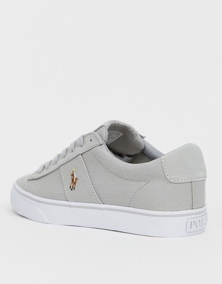 Polo Ralph Lauren canvas sayer trainers in grey with multi player logo