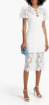 Thumbnail for your product : ML Monique Lhuillier Button-embellished cutout guipure lace midi dress