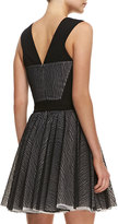 Thumbnail for your product : Robert Rodriguez Lace Zebra-Stripe Sleeveless Fit-and-Flare Dress