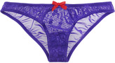 Thumbnail for your product : Agent Provocateur Rizzo lace and stretch-mesh briefs