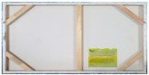 Thumbnail for your product : Parvez Taj Birds Skylight Canvas Wall Art