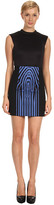 Thumbnail for your product : Tibi Zebra Stripe Dress w/ Neoprene