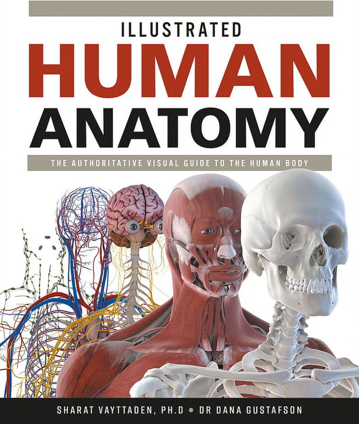 Illustrated Human Anatomy: The Authoritative Visual Guide to the Human Body, (Hardcover)
