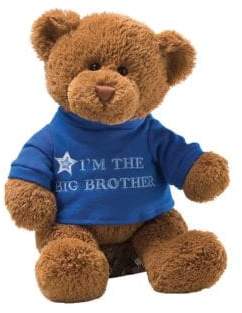 Gund I'm the Big Brother Bear Plush Doll
