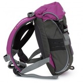Thumbnail for your product : LittleLife Pink Alpine 2 Toddler Daysack