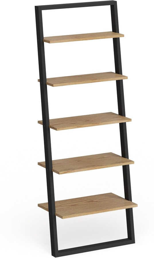 https://img.shopstyle-cdn.com/sim/bf/dc/bfdc641904131f459d1770e327717596_best/ranell-leaning-ladder-shelves-by-inspire-q-modern.jpg