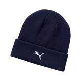 Thumbnail for your product : Puma Control Beanie