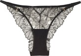 Thumbnail for your product : Bluebella Alula Embroidered Mesh Briefs