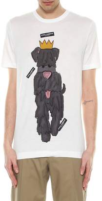 Dolce & Gabbana Short Sleeves T-shirt