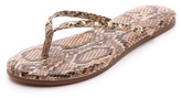 Thumbnail for your product : Yosi Samra Roee Studded Flip Flops