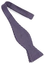 Thumbnail for your product : Ted Baker Embroidered Polka Dot Silk Bow Tie