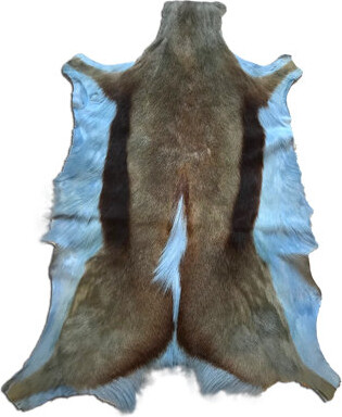 Loon Peak Dyed Baby Blue Springbok Hide (Genuine Hide)