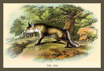 Buyenlarge 'The Fox' by Sir William Jardine Painting Print