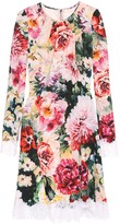 Thumbnail for your product : Dolce & Gabbana Floral crepe dress
