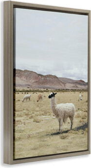 Loon Peak Wild Alpacas in Desert Framed Floater Canvas by Sisi and Seb