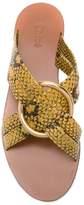 Thumbnail for your product : Chloé snake print Rony sandals