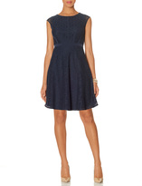 Thumbnail for your product : The Limited Lace Fit & Flare Dress