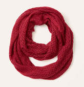 Thumbnail for your product : LOFT Pointelle Infinity Scarf