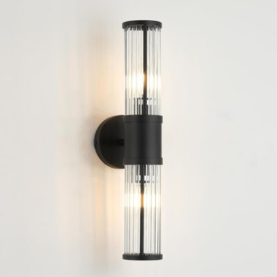 Hokku Designs Modern 2-Light Matte Black Bathroom Vanity Light With Glass Rod Shades For Mirror Bedroom Hallway