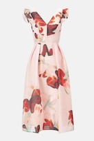 Thumbnail for your product : Coast Burnout Floral Frill Midi Dress