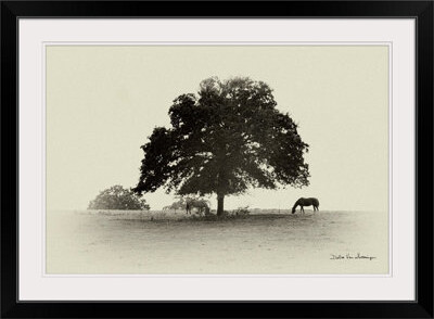 Ebern Designs Horses and Trees by Debra Van Swearingen - Photograph Print