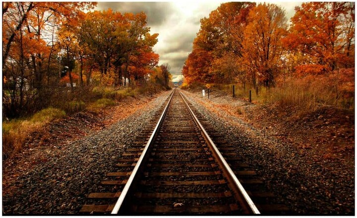 Yosemite Home Decor 36 in x 60 in. "Autumn Rails" Tempered Glass Wall Art