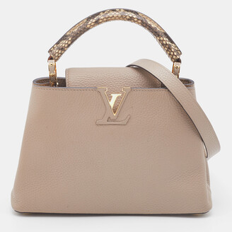 Louis Vuitton Galet Taurillon Leather and Python Capucines BB Bag