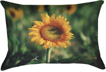 ArtVerse Aziz Acharki Sunflower Outdoor Lumbar Pillow