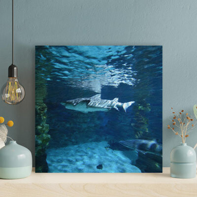 Rosecliff Heights Two Gray Sharks Underwater 1 - Wrapped Canvas Painting