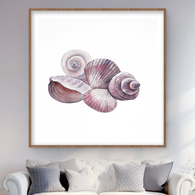 Lark Manor Seaside Shells - Coastal Framed Matted Print for Home Decor